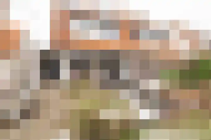 Beerzepad 8 Culemborg thumbnail 22