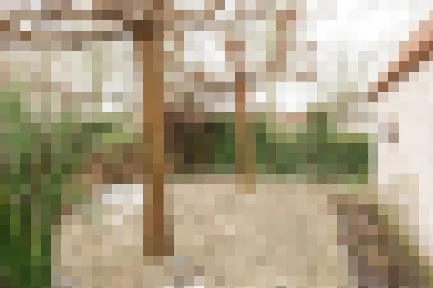 Beerzepad 8 Culemborg thumbnail 23