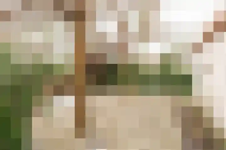 Beerzepad 8 Culemborg thumbnail 23