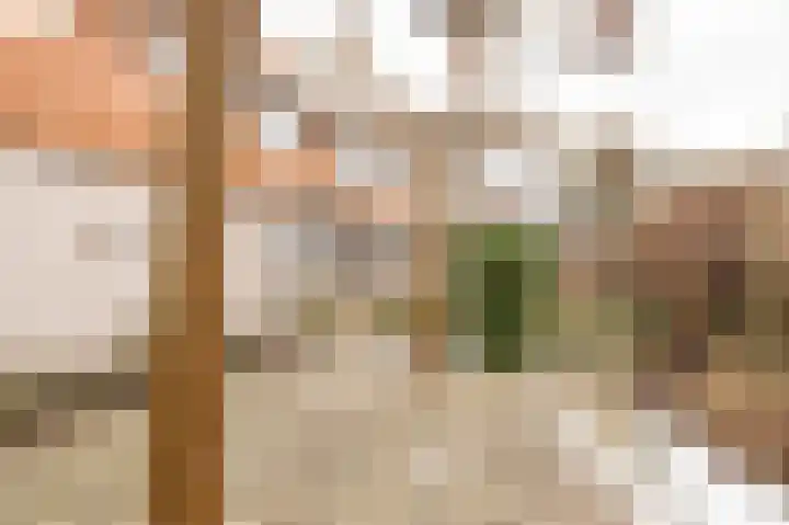 Beerzepad 8 Culemborg thumbnail 24