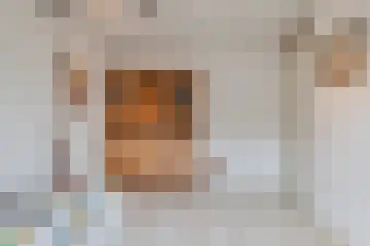 Beerzepad 8 Culemborg thumbnail 28