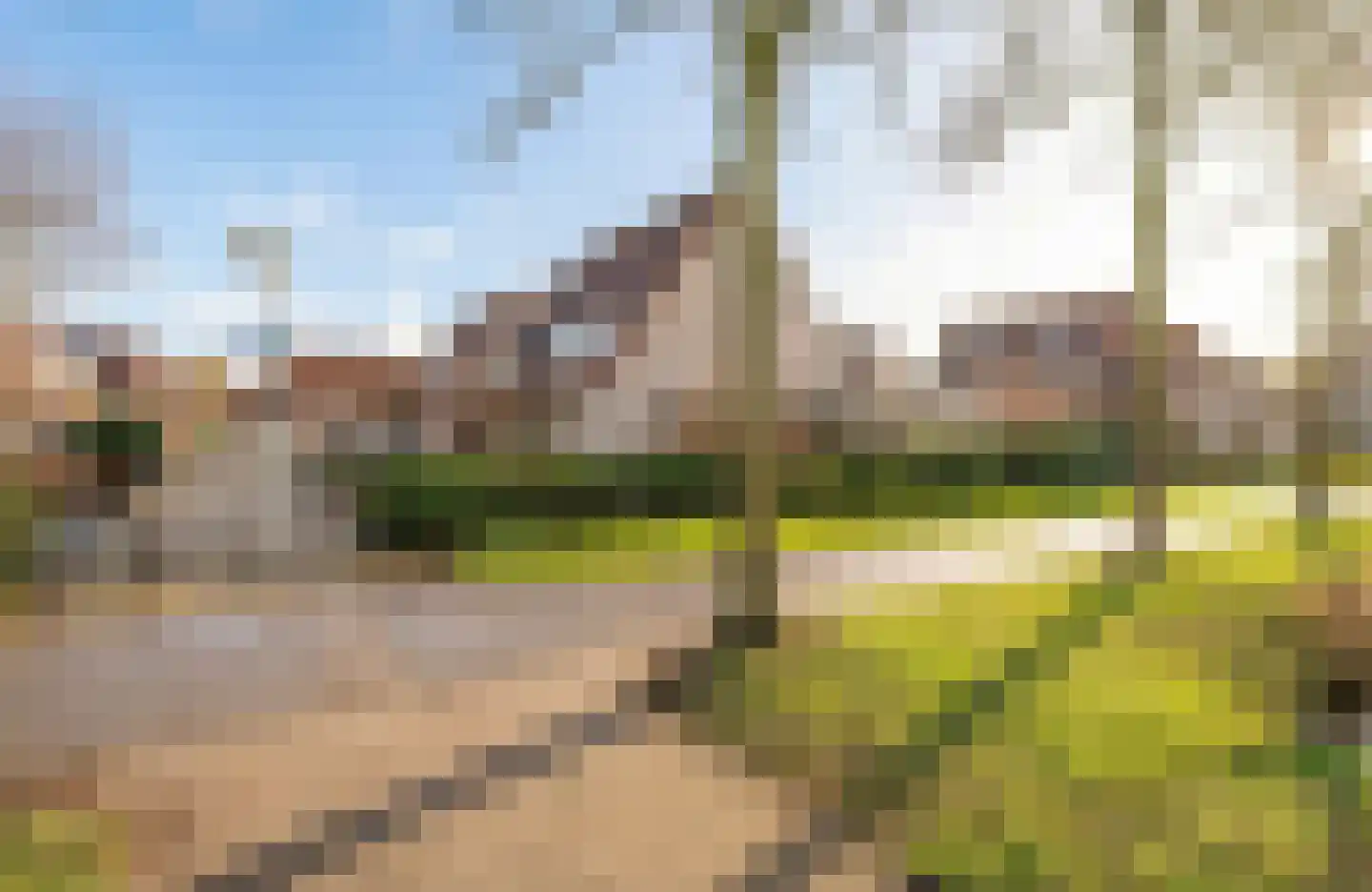 Beerzepad 8 Culemborg thumbnail 36