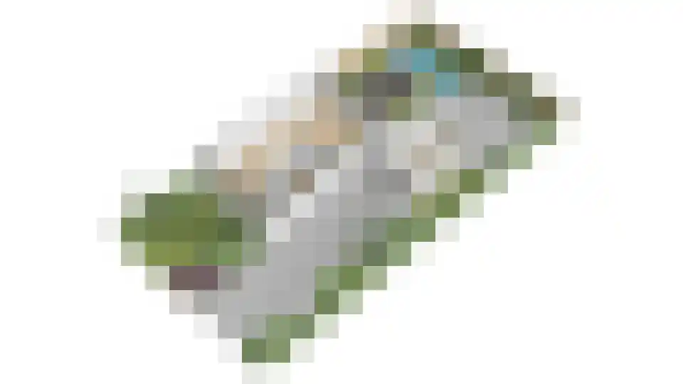 Beerzepad 8 Culemborg thumbnail 48