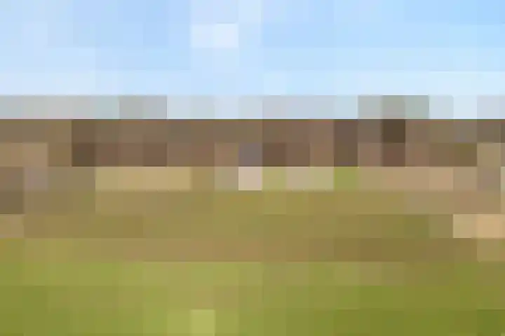 Beerzerhaar 36 a Beerzerveld thumbnail 10