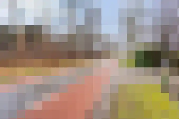 Beerzerhaar 36 a Beerzerveld thumbnail 12