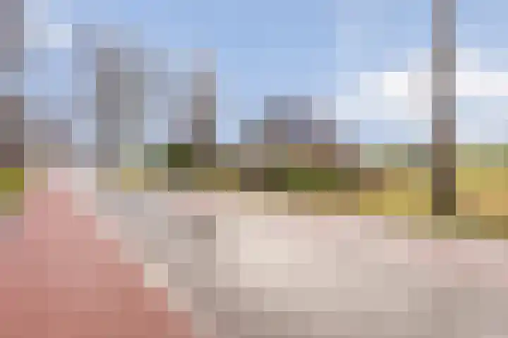 Beerzerhaar 36 a Beerzerveld thumbnail 13