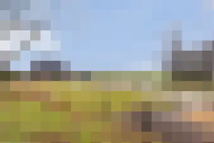 Beerzerhaar 36 a Beerzerveld thumbnail 14