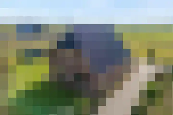 Beerzerhaar 36 a Beerzerveld thumbnail 18