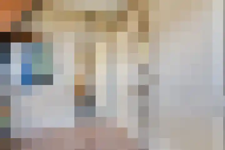 Beerzerhaar 36 a Beerzerveld thumbnail 22