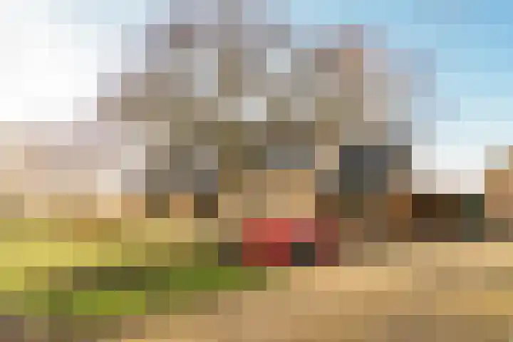 Beerzerhaar 36 a Beerzerveld thumbnail 25