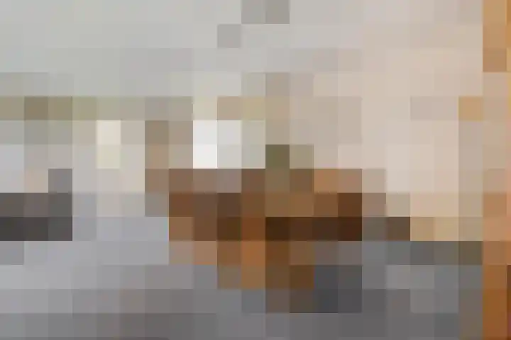 Beerzerhaar 36 a Beerzerveld thumbnail 30