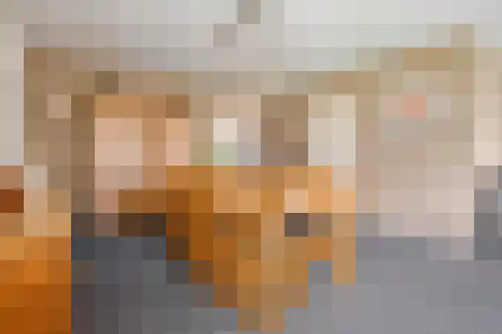 Beerzerhaar 36 a Beerzerveld thumbnail 31