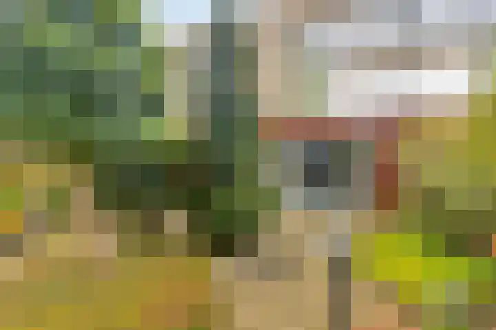 Beerzerhaar 36 a Beerzerveld thumbnail 32