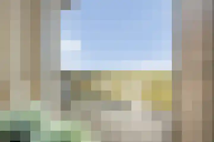 Beerzerhaar 36 a Beerzerveld thumbnail 45