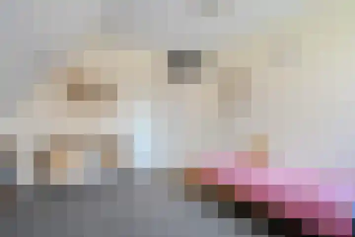 Beerzerhaar 36 a Beerzerveld thumbnail 48