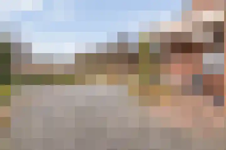 Beerzerhaar 36 a Beerzerveld thumbnail 58