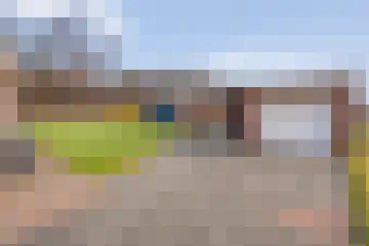 Beerzerhaar 36 a Beerzerveld thumbnail 59