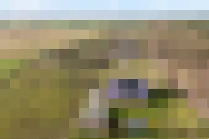 Beerzerhaar 36 a Beerzerveld thumbnail 6