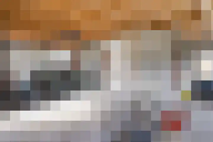 Beerzerhaar 36 a Beerzerveld thumbnail 62