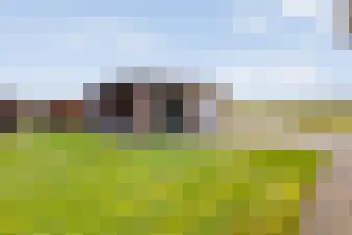 Beerzerhaar 36 a Beerzerveld thumbnail 63