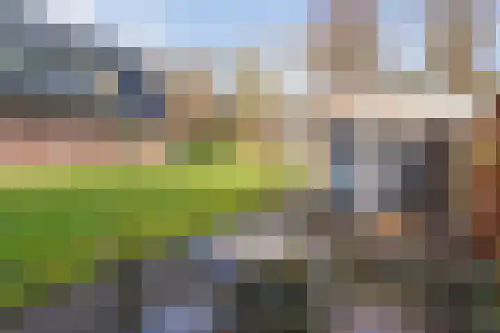 Beerzerhaar 36 a Beerzerveld thumbnail 64