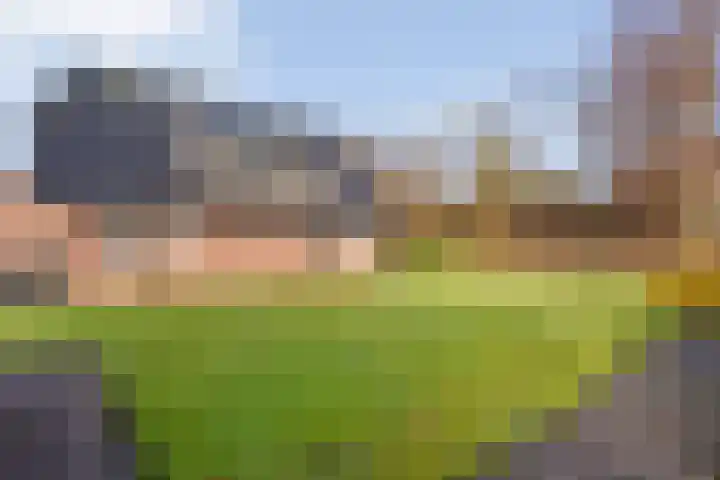 Beerzerhaar 36 a Beerzerveld thumbnail 65