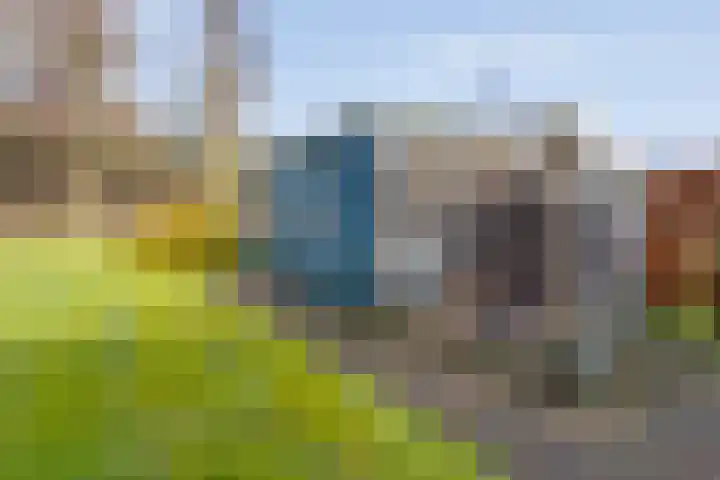 Beerzerhaar 36 a Beerzerveld thumbnail 66