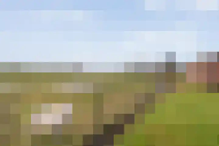 Beerzerhaar 36 a Beerzerveld thumbnail 68