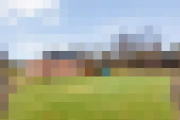 Beerzerhaar 36 a Beerzerveld thumbnail 69
