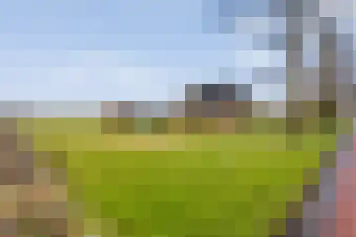 Beerzerhaar 36 a Beerzerveld thumbnail 70