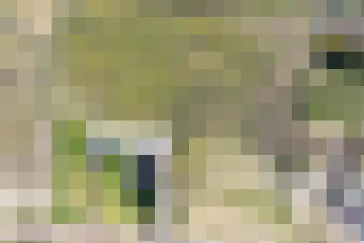 Beerzerhaar 36 a Beerzerveld thumbnail 71