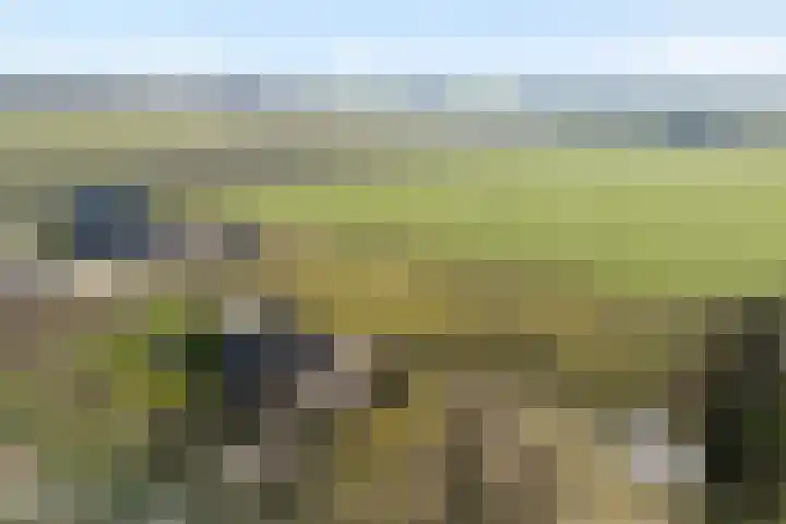 Beerzerhaar 36 a Beerzerveld thumbnail 73
