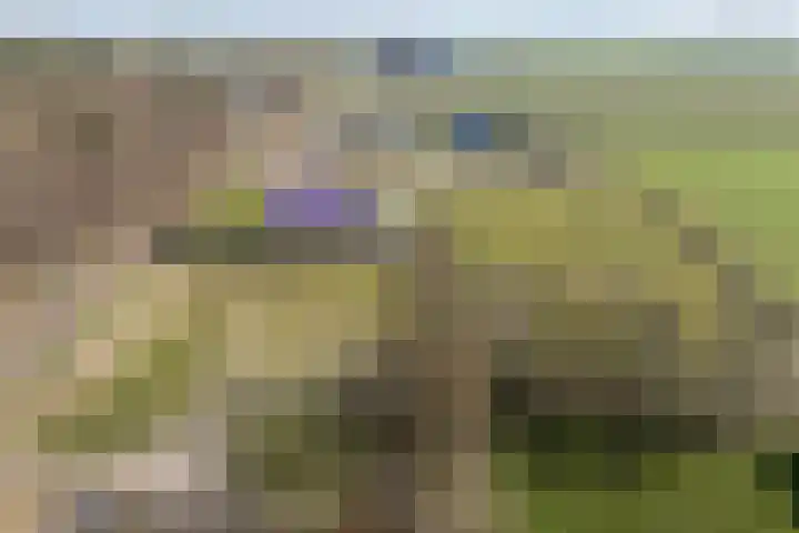 Beerzerhaar 36 a Beerzerveld thumbnail 74