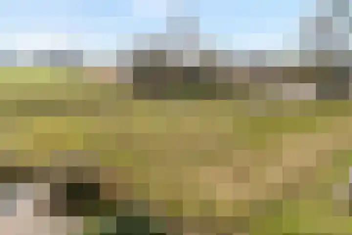 Beerzerhaar 36 a Beerzerveld thumbnail 75