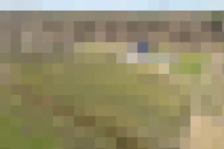 Beerzerhaar 36 a Beerzerveld thumbnail 9