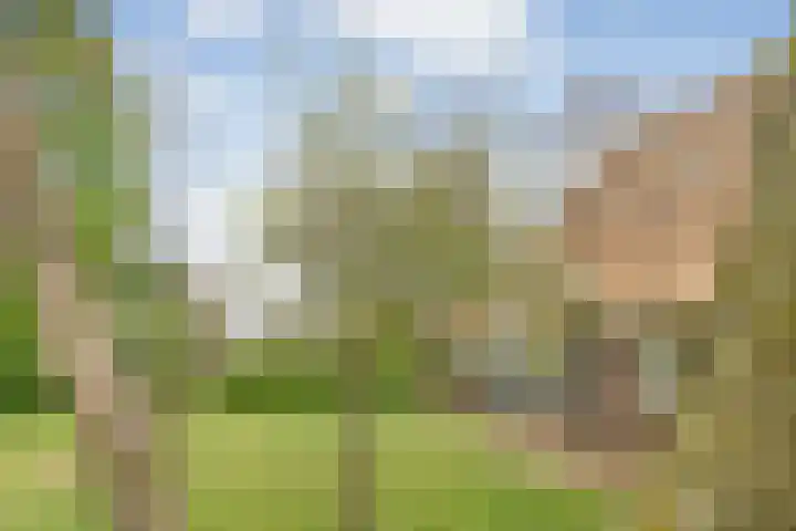 Beerzerweg 18 Beerze thumbnail 10