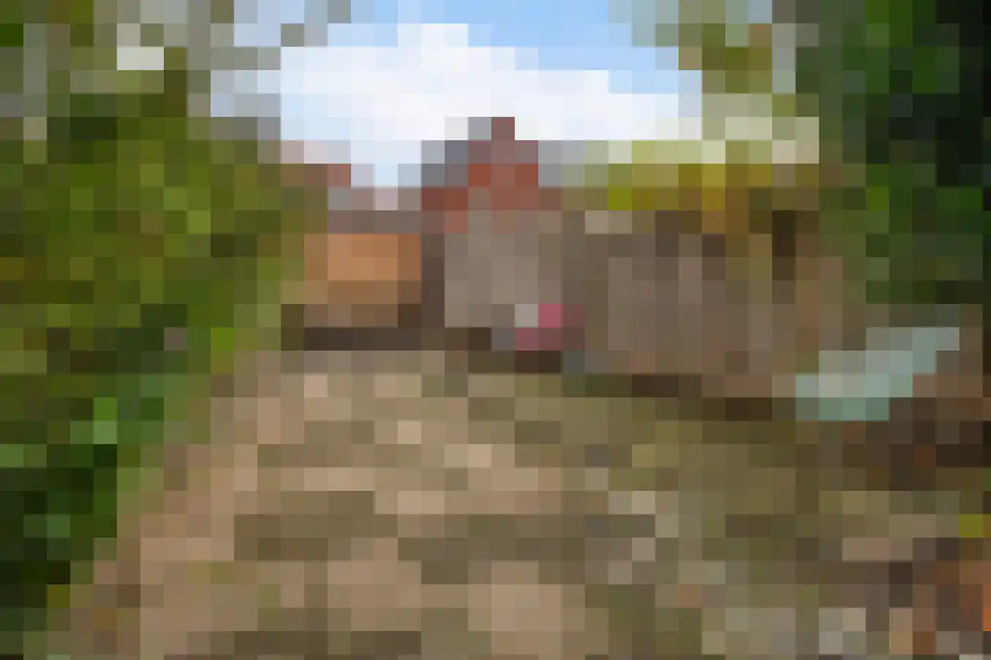 Beerzerweg 18 Beerze thumbnail 100