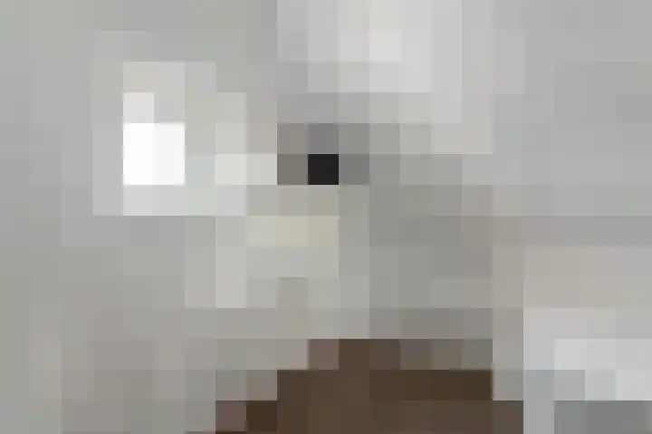 Beerzerweg 18 Beerze thumbnail 32