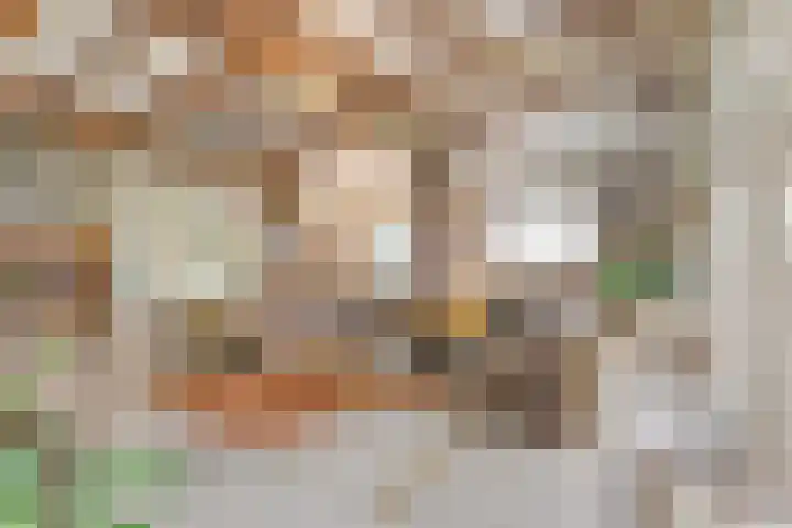 Beerzerweg 18 Beerze thumbnail 33
