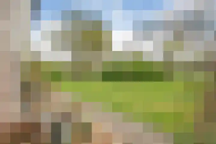 Beerzerweg 18 Beerze thumbnail 4