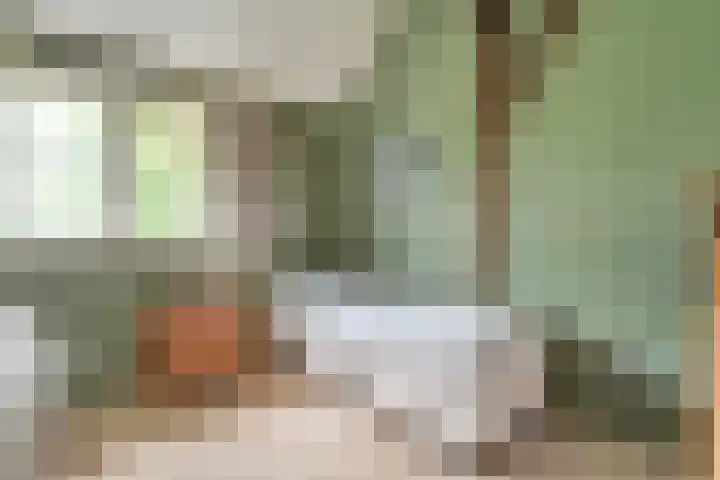 Beerzerweg 18 Beerze thumbnail 49