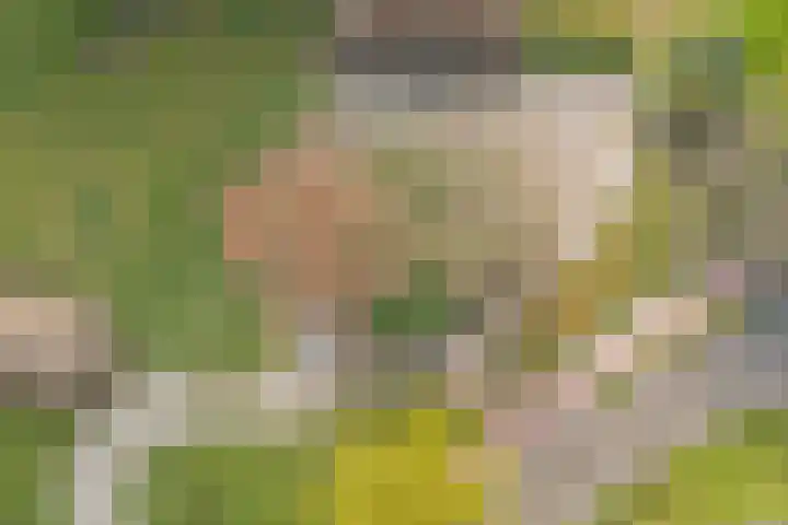 Beerzerweg 18 Beerze thumbnail 5