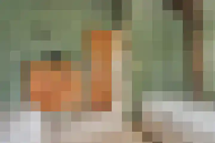 Beerzerweg 18 Beerze thumbnail 50