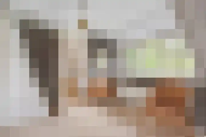 Beerzerweg 18 Beerze thumbnail 65