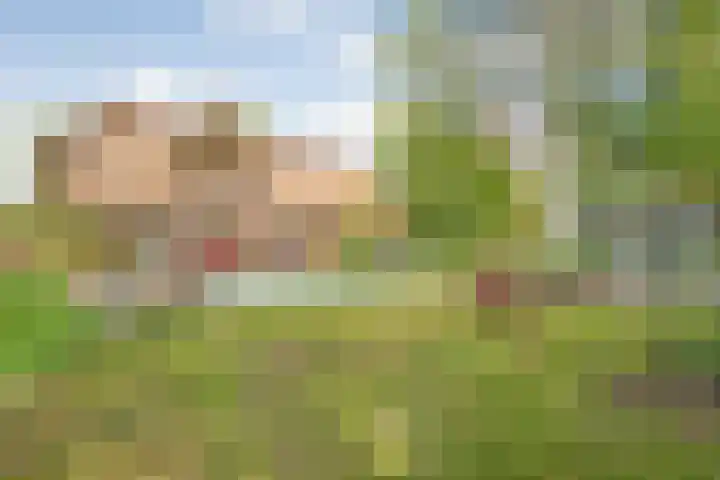 Beerzerweg 18 Beerze thumbnail 72