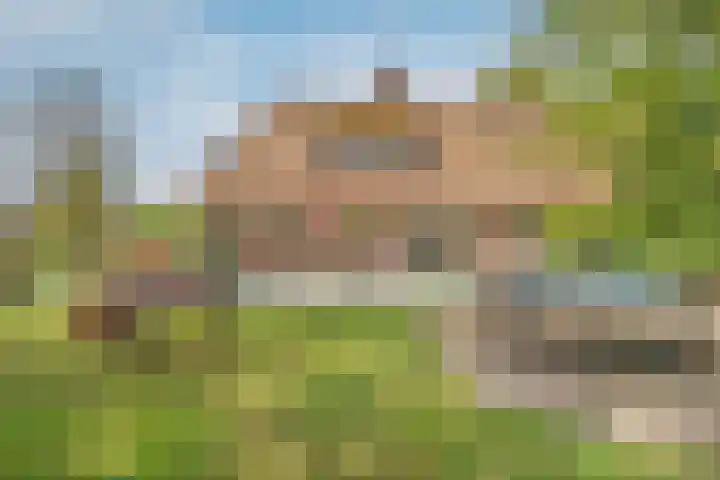Beerzerweg 18 Beerze thumbnail 76