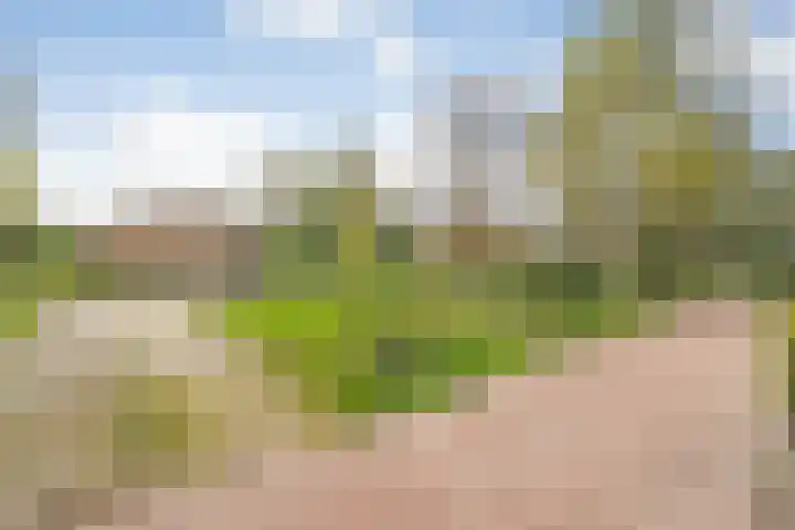 Beerzerweg 18 Beerze thumbnail 8