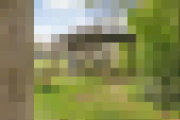 Beerzerweg 18 Beerze thumbnail 80