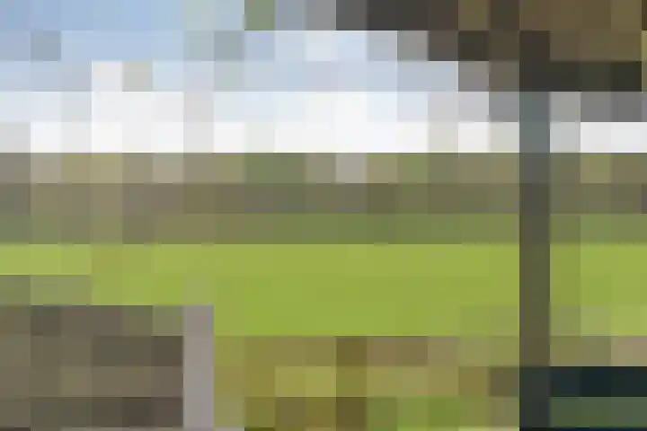 Beerzerweg 18 Beerze thumbnail 82
