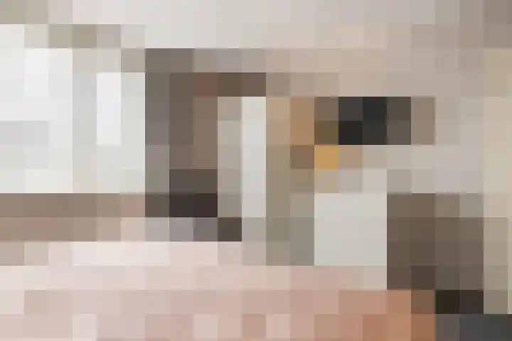 Beerzerweg 18 Beerze thumbnail 83